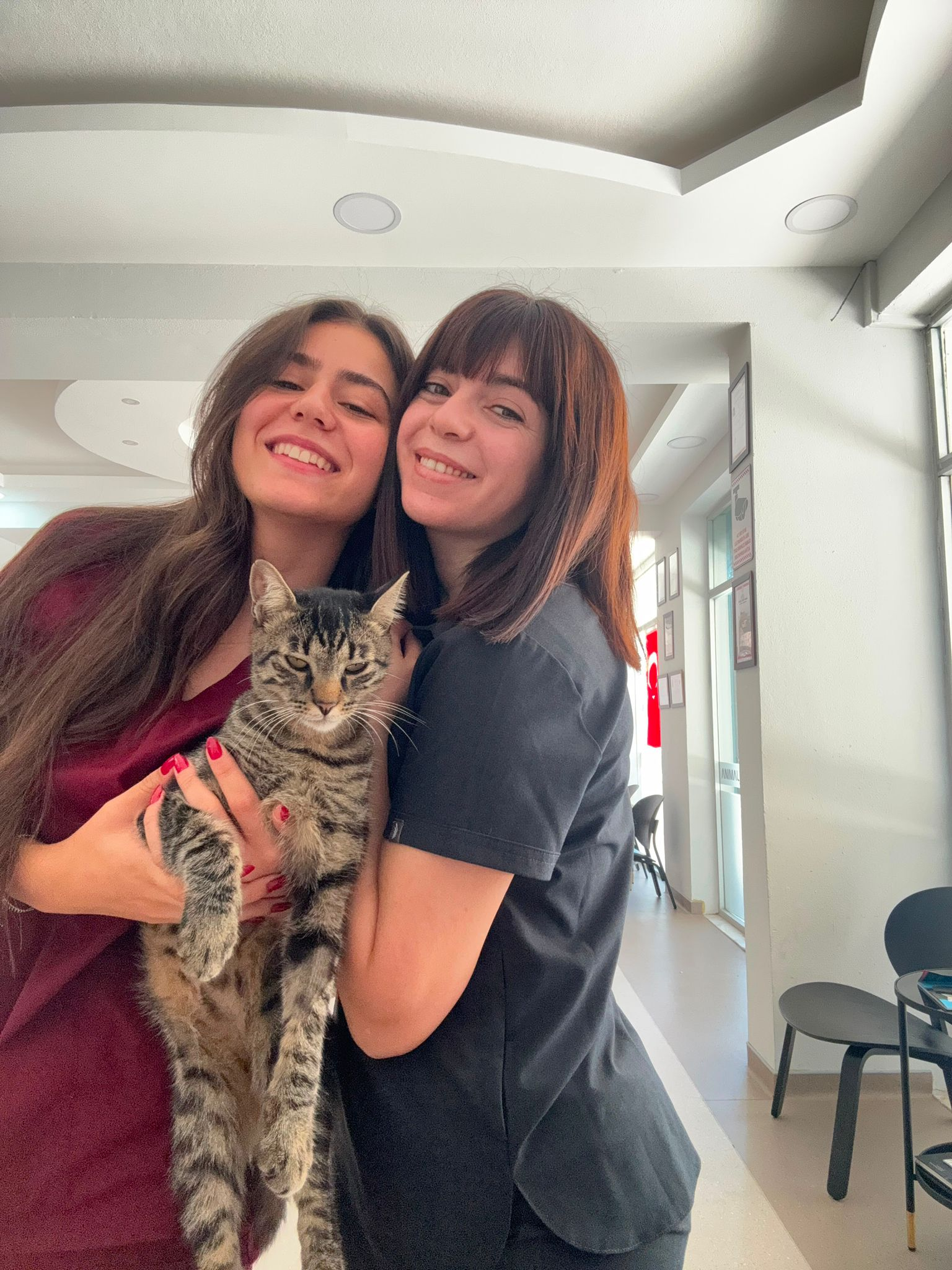 Veteriner Hekimlerimiz ve Kedimiz